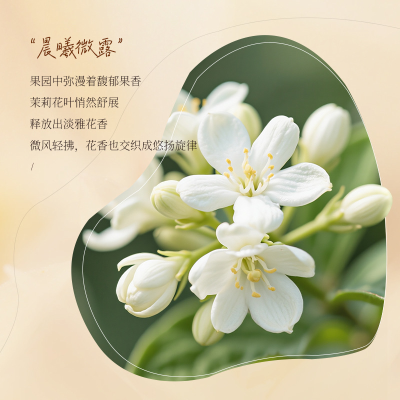 Cocoa fragrance perfume amino  - огляд і ціна Fragrance Perfume For Hair